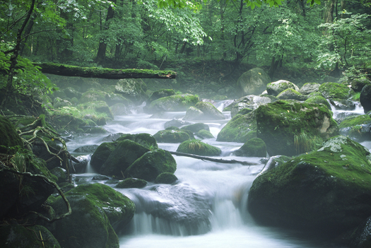 PHOTO: Pennsylvania has the greatest number of polluted stream miles and agriculture does need to have some assistance to be able to manage the nutrient losses and the sentiment losses off its properties. 