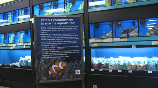 PETCO will start educating consumers about the importance of buying aquacultured fish. Photo: Defenders of Wildlife.