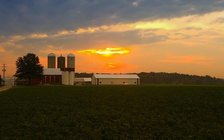 The price of farmland frequently exceeds what can be earned by farming. (Pixabay)