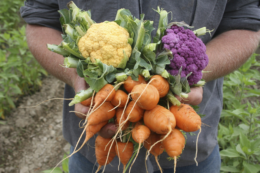 PHOTO: Getting healthy and locally grown food onto the lunch plates of Wisconsin school children is the goal of grants to Wisconsin school districts, food growers and distributors. Photo courtesy UW Extension Service.