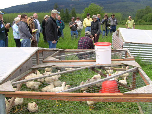 PHOTO: It can be a tough row to hoe for new and beginning farmers, but the state is working to assist them with outreach opportunities, like this poultry workshop in Whatcom County and an expanded Farm Internship Program. Photo courtesy Washington State Dept. of Agriculture.