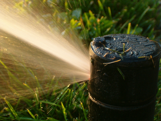 PHOTO: July is Smart Irrigation Month, and state leaders say it's a good time to make sure residents are using water efficiently. Photo credit: Ivan Melenchon Serrano/morguefile.