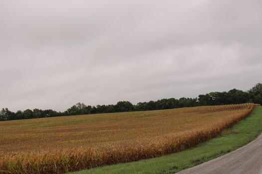 PHOTO: A new report finds farms and property in Arkansas could experience harsh losses from climate change. Photo credit: S. Garton/morguefile.