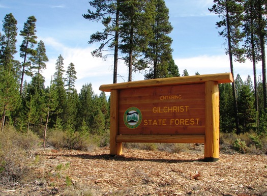 PHOTO: Gilchrist State Forest is Oregon's newest state forest, created in part with money from the Land and Water Conservation Fund. Photo courtesy Oregon Department of Forestry.