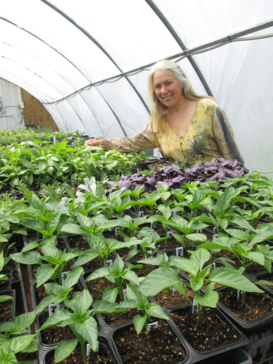 PHOTO: Jane Hawley Stevens, an herb-growing sustainable agriculture entrepreneur, hosts a July 25 workshop in North Freedom, Wis., for women in agriculture. Photo courtesy Four Elements Herbals.