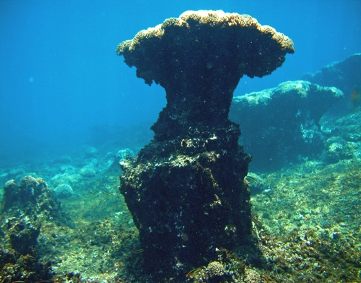 PHOTO: Ocean acidification is eroding coral reefs, like this one in Pacific Panama. Photo credit: Derek Manzello