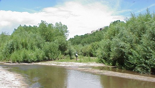 PHOTO: The proposed diversion of the Gila River is the focus of an event commemorating 