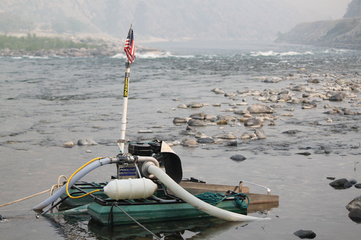 PHOTO: The Idaho Land Board is considering a permit to allow commercial suction dredging for gold on the Salmon River, even though the EPA says the area is off limits. Photo credit: Jonathan Oppenheimer