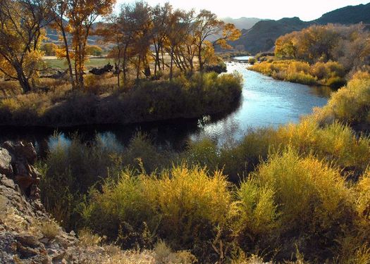 PHOTO: A $3.8 million federal grant is helping researchers at the University of Nevada study how to meet growing demand with a declining water supply. Photo credit: U.S. Fish and Wildlife Service.