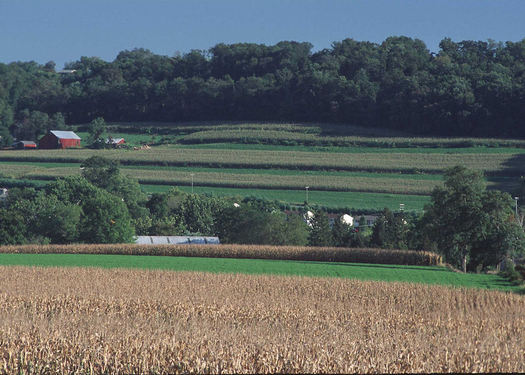 PHOTO: The Conservation Stewardship Program (CSP) is a voluntary conservation effort that encourages farmers to address resource concerns in new and innovative ways. Those farmers whose contracts are up this year must renew by Sept. 12 to continue with the program. Photo courtesy of U.S. Department of Agriculture.