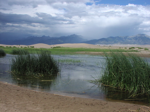 PHOTO: The Public Lands Renewable Energy Development Act would redirect some of the profits from renewable energy generation on public lands to land and wildlife conservation efforts, an idea a new poll says a majority of Coloradans support. Photo courtesy Colorado Wetland Information Center.