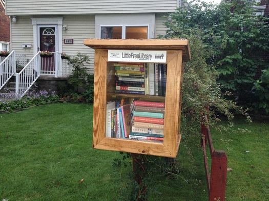 PHOTO: A metro Detroit woman hopes Detroit will soon be known as the Little Free Library capital of the world, as she works to raise money to place the community book boxes throughout the city. Photo courtesy of Detroit Little Free Library Campaign.