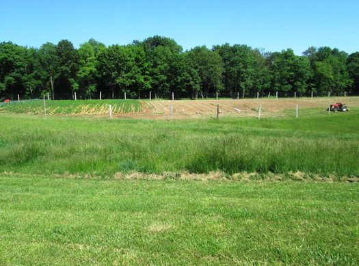 PHOTO: Wild Wood Farms has grown to include 150 members in its community-supported agriculture vegetable operation. Photo courtesy of Wild Wood Farms.