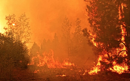 PHOTO: The Rim Fire burns in the Stanislaus National Forest last summer. In light of the state's current wildfires and changing climate, experts say it may be time to re-evaluate how wildfires are fought, and focus on making communities more fire-safe. Photo credit: Mike McMillan, U.S. Forest Service.