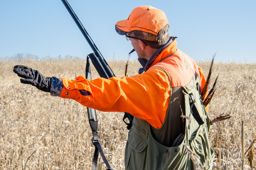PHOTO: Minnesota hunters are being reminded to know the symptoms of a heart attack as they prepare to hike the farm fields and roadsides for the opening of pheasant season Saturday and the firearms deer season next month. Photo credit: m01229/Flickr.