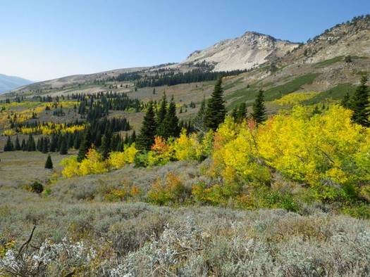 PHOTO: Another round of public hearings is scheduled this week about Idaho's proposal to demand that the federal government turn land over to Idaho. Photo of Boise National Forest courtesy of U.S. Forest Service.