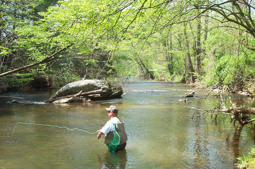 PHOTO: Supporters of the Clean Water Act say the state's economy is dependent on the health of North Carolina's streams and wetlands. Photo courtesy: NC Wildlife Commission