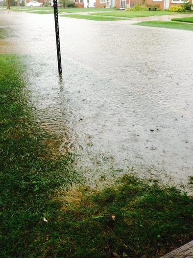 PHOTO: One acre of wetland can absorb as much as one million gallons of water, according to a recent report from the National Wildlife Federation. Many Michiganders are still recovering from the damage caused by five inches of rain which fell in August. Photo credit: M. Shand. 