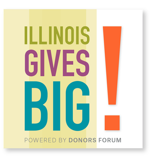 GRAPHIC: As part of #GivingTuesday, the #ILGIVEBIG initiative is aimed at raising $12 million for Illinois nonprofit organizations in one day. Graphic courtesy of the Donor Forum.
