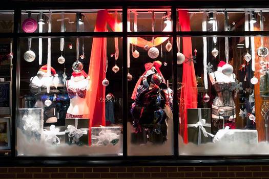 PHOTO: Hush Intimate Apparel is one of many Michigan businesses with special promotions for Small Business Saturday, a day to show support for locally-owned retailers and restaurants, now in its fifth year. Photo credit: Linda Michele-Dobel Photography.