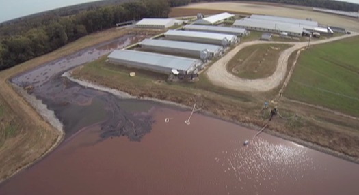 Photo: Devries captured images like this one with his camera equipped drone, which flew over several North Carolina pig farms which supply hogs to Smithfield. Photo courtesy: Devries