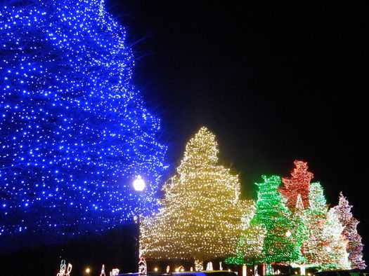 PHOTO: Along with lights, trees and presents, the holiday season can be filled with stress, anxiety and even depression. As one antidote, experts recommend turning the focus to the kinds of gifts that money can't buy. Photo credit: City of Sumter, South Carolina.