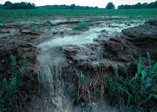 PHOTO: Agricultural practices are key to cleaner water in Iowa, but progress could be slowed with reduced funding for research, and to implement methods to cut the amount of nutrients that end up in lakes, rivers and streams. Photo credit: eutrophication&hypoxia/Flickr.