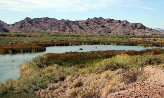 PHOTO: The Colorado River means millions of jobs and billions of dollars to Arizona's economy each year, according to a new report. Photo courtesy Arizona Department of Water Resources.