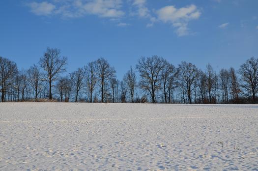 PHOTO: Even in winter, Michiganders are encouraged to enjoy the great outdoors with children with disabilities, as experts say there are benefits for the entire family. Photo credit: jkr/morguefile.com. 