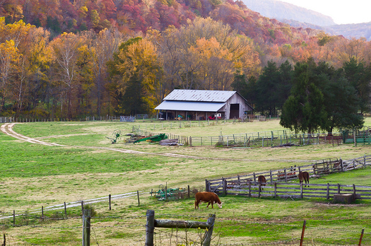 PHOTO: Time is running out for Tennessee farmers and ranchers to voice their concerns on how the Conservation Stewardship Program is set to operate for the next five years. Photo credit: Noel Pennington/Flickr.