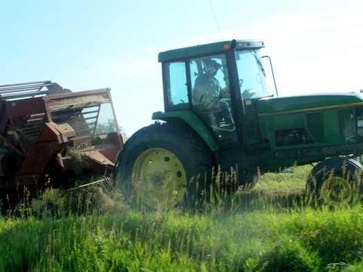 PHOTO: With more than half of Iowa farmland owned by people age 65 and older, a major transfer to a new generation is under way, leading to difficult choices for many farm families. Photo credit: Jo Naylor/Flickr.