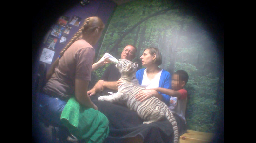 PHOTO: It may look like fun, but such close proximity to exotic animals invites trouble, according to an undercover investigation of Virginia's Natural Bridge Zoo. In addition to human safety issues, investigators say they found evidence of animal neglect and abuse. Photo courtesy Humane Society of the United States.