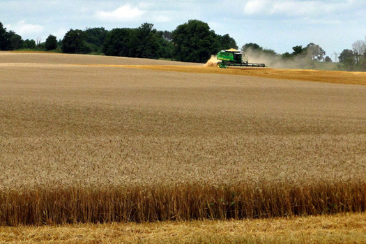 PHOTO: The U.S. Department of Agriculture has a program to help the next generation in Indiana and around the nation get into farming and ranching, as the current 