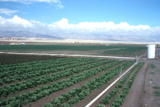 Photo: A new program from USDA could help more people in New Mexico and around the nation get into farming. Photo courtesy U.S. Department of Agriculture.