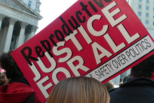 PHOTO: It could be another contentious year in Ohio on reproductive issues. Ohio Right to Life released its 2015 legislative agenda on Tuesday that it says serves as a proactive approach to challenge Roe vs. Wade and end abortion. Pro-choice groups argue the agenda is dangerous for women's reproductive health. Photo credit: ctrouper/Flickr.