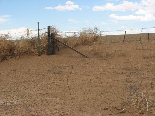 PHOTO: Some farmers and ranchers in Arizona and other drought-ravaged western states are eligible for emergency government loans linked to the USDA declaring 256 counties as natural disaster areas. Photo courtesy National Oceanic and Atmospheric Administration.