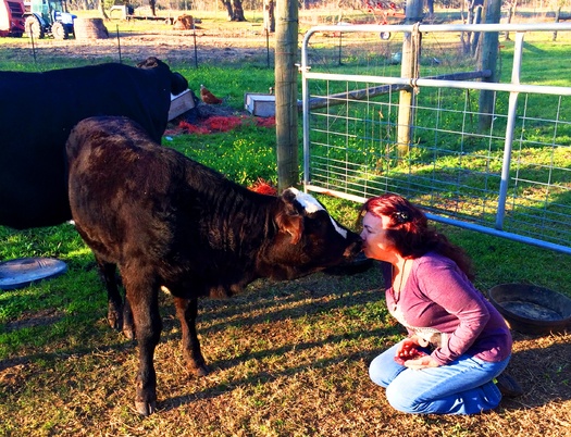Renee King-Sonnen married a fourth generation cattle rancher, but now is converting the 96-acre Angleton cattle ranch into an animal farm sanctuary.