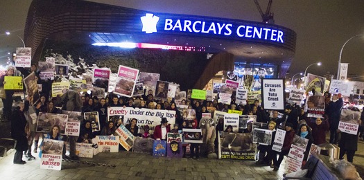 PHOTO: Animal rights activist plan to protest tonight's opening of the circus at the Barclays Center. They say it sends the wrong message to kids about ethical treatment of animals. Courtesy: Cappiello PETA 