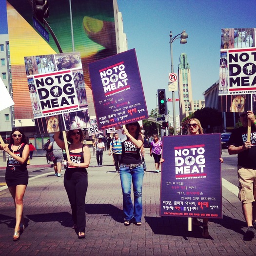 PHOTO: A California animal-rights group aims to raise awareness of cruelty involved in the dog meat trade in the United States and abroad. Photo courtesy: No To Dog Meat.