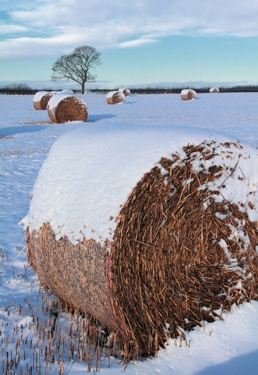 PHOTO: Transitioning the family farm or ranch to the next generation can be a contentious time. An expert on successful, and profitable, transitions is offering free workshops in Montana this week. Photo credit: Inspired Images/Pixabay