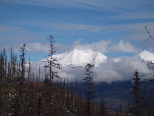 PHOTO: Montana's congressional delegation has been graded on votes cast related to environmental issues. It's a mixed report card. Photo of the Great Bear Wilderness courtesy of the U.S. Forest Service