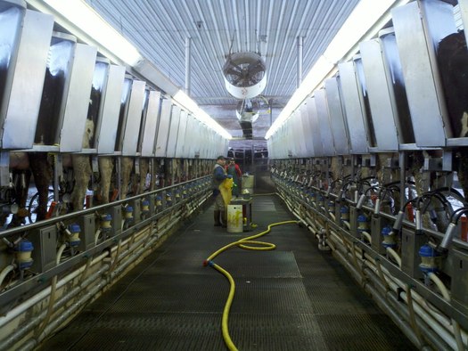 PHOTO: Silencing or deterring whistle-blowers of animal abuses at factory farms is the intent of a bill being considered by New Mexico lawmakers, that's according to Eleanor Bravo with Food and Water Watch. Photo courtesy U.S. Department of Agriculture.