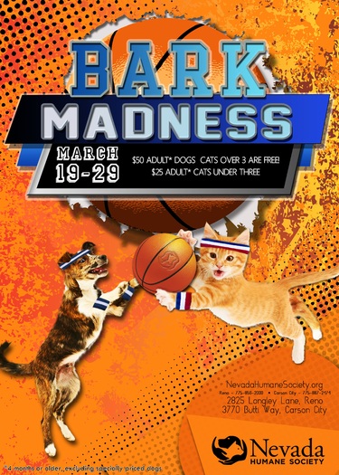 PHOTO: The Nevada Humane Society is celebrating NCAA March Madness with a pet adoption event featuring hundreds of dogs and cats called 