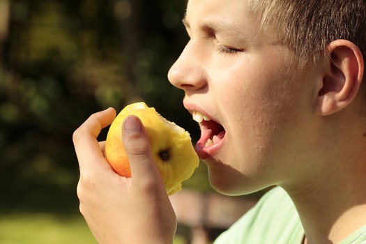 More than 800,000 students in schools across Maryland are set to take a synchronized crunch into an apple at 9:15 Wednesday morning. While not just for students, the Hear the Maryland Crunch Initiative is intended to promote school breakfast. Credit: Sipa/Pixabay.com.