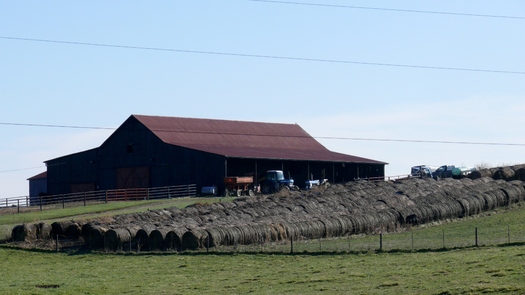 PHOTO: Stopping a right to farm bill in Kentucky, which would have placed protections in the state Constitution, is a victory, according to the Humane Society of the United States. Photo by Greg Stotelmyer.