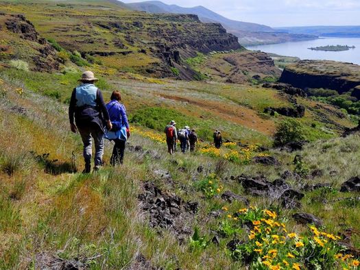 PHOTO: Why just walk on National Walking Day? The Northwest is full of beautiful day-hike spots. This area is Dancing Rock, on the Washington side of Columbia Gorge. Photo credit: Debbie Asakawa, Friends of the Columbia Gorge.