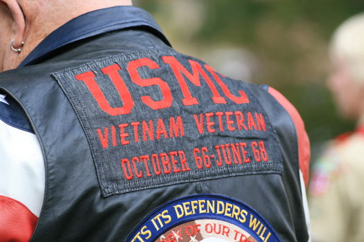 PHOTO: The sacrifices and service of those who served in the Vietnam War will be honored at ceremonies across the state today, as Missouri observes its third Vietnam Veterans Day. Photo credit: taliesin/morguefile.com