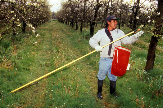 PHOTO: Better treatment of Idaho farmworkers and recognition of their importance in the food system are part of the National Farmworker Awareness campaign. Photo credit: Brian Prechtel, USDA Agricultural Research Service.