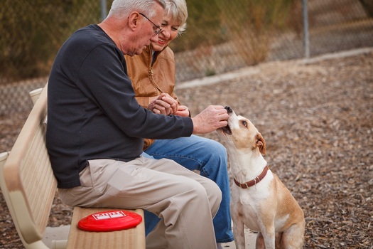 PHOTO: The quality and companionship that pets can add to the lives of Arizona seniors is the focus of an event this week in the Phoenix area. Photo courtesy of AARP Arizona.