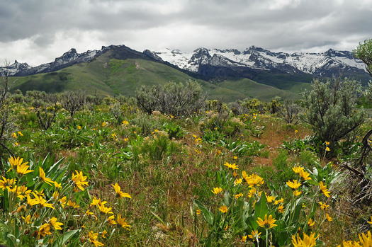 PHOTO: In Nevada and other Western states, there are ongoing efforts by some lawmakers to try to gain control of federally managed public lands despite strong public opposition. Photo credit: U.S. Department of Agriculture.